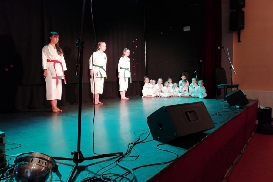 grupa karateków w trakcie pokazu