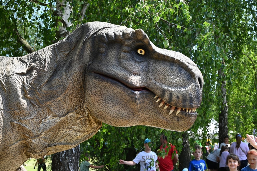 Ogromny tyranozaur podczas festiwalu baniek