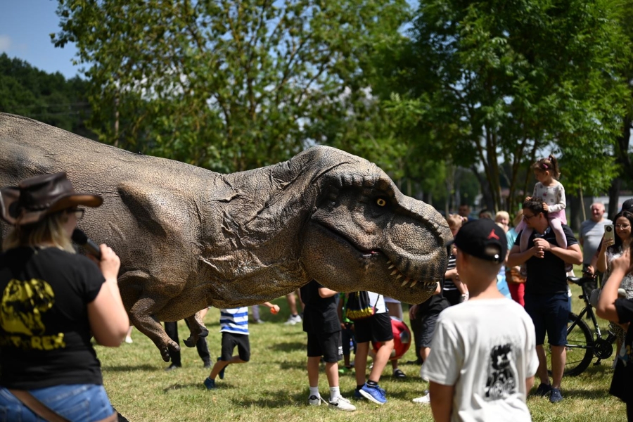 Tyranozaur Rex obserwuje dzieci uczestniczące w Festiwalu Baniek