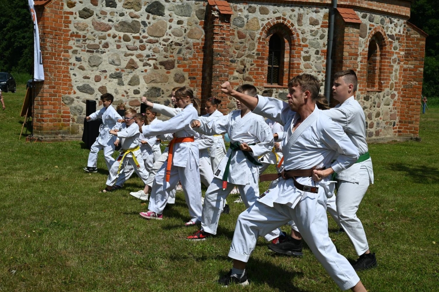 Występ grupy karate